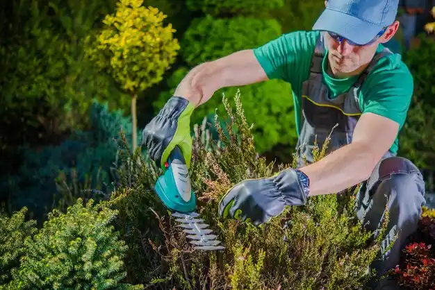 landscaping services Seaman